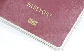 Electronic Microchip Passport